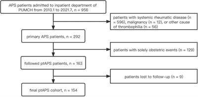 Sex Differences in Clinical Characteristics and Prognosis in Primary Thrombotic Antiphospholipid Syndrome